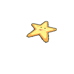 Starfish Rug