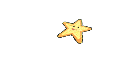 Starfish Rug