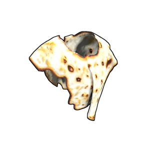 Pita Poncho