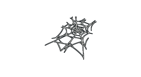 Spider Web Rug