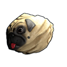 content image