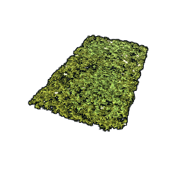 Grass Rug