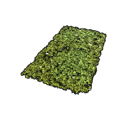 Grass Rug