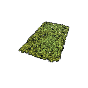 Grass Rug