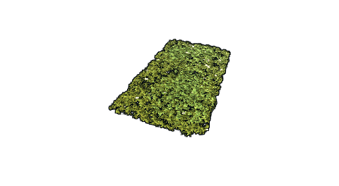 Grass Rug