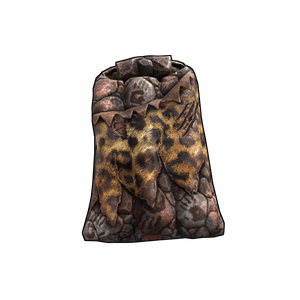 Neanderthal Sleeping Stone