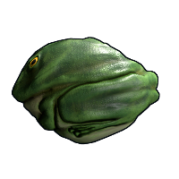 Frog Rock in Rust