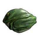 content image