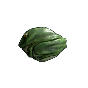 Frog Rock