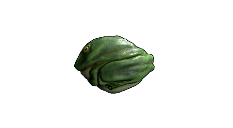 Frog Rock