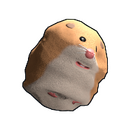 content image