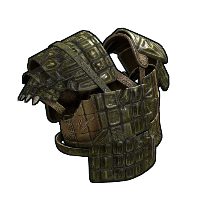 asset image