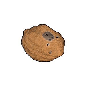Capybara Rock