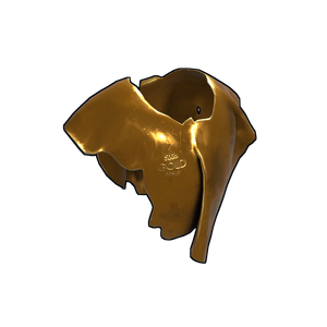Gold Poncho