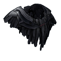 Raven Poncho in Rust