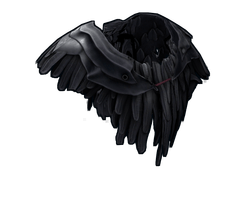 Raven Poncho