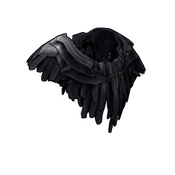 Raven Poncho