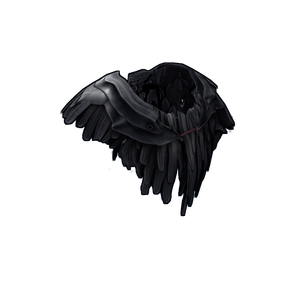 Raven Poncho