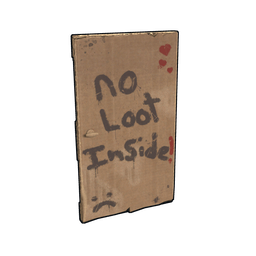 Poor Man's Cardboard Door