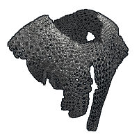 Chainmail Poncho in Rust