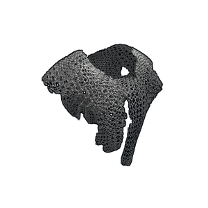 Chainmail Poncho