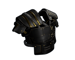 Black Gold Vest