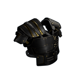 Black Gold Vest