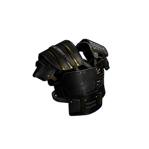 Black Gold Vest