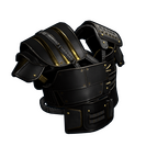 Black Gold Vest