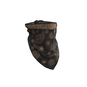 Paisley Bandana
