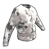 asset image