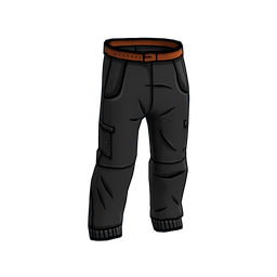 JPEG Pants
