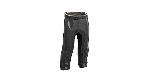 Low Poly Pants