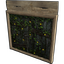 Fireflies Double Wooden Doors