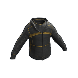 Black Gold Hoodie