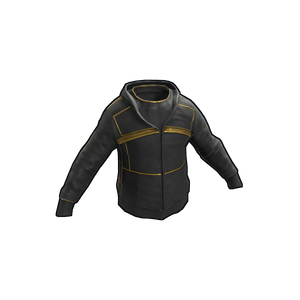 Black Gold Hoodie