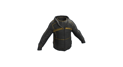 Black Gold Hoodie