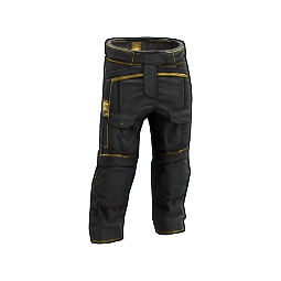 Black Gold Pants