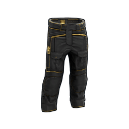 Black Gold Pants