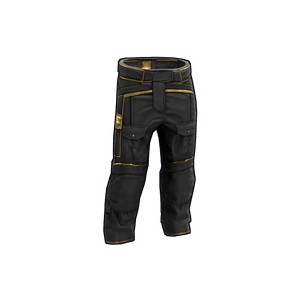 Black Gold Pants