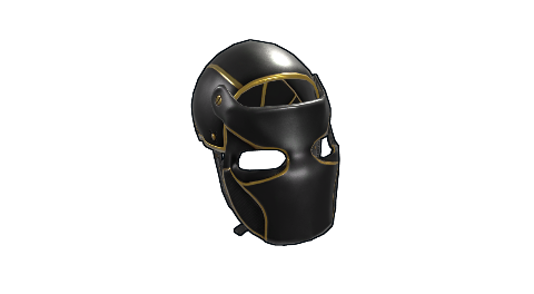 Black Gold Facemask
