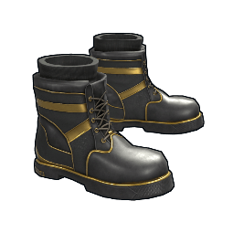 Black Gold Boots
