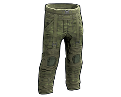 Forest Raiders Pants