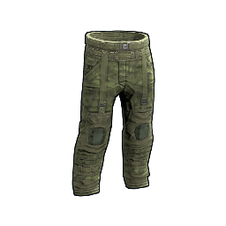 Forest Raiders Pants