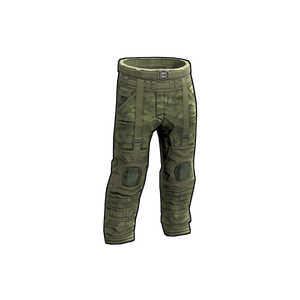 Forest Raiders Pants