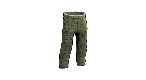 Forest Raiders Pants