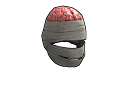 Wrapped Brain
