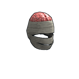Wrapped Brain