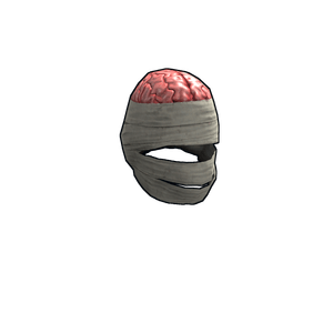 Wrapped Brain