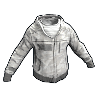 asset image
